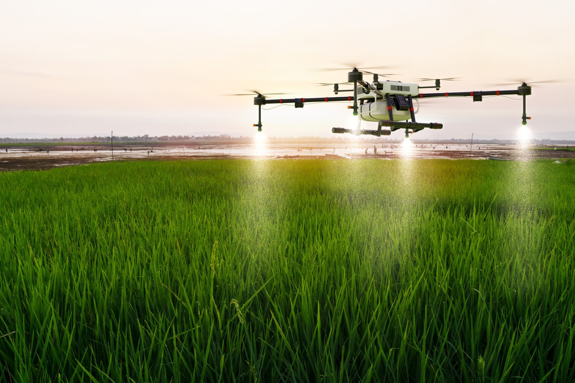 Sombreado de Precisión con Drones
